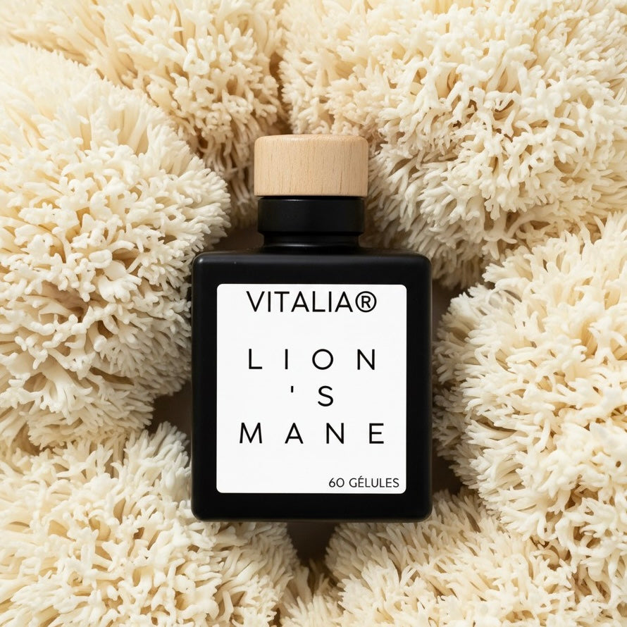 Lion's mane 60 gélules